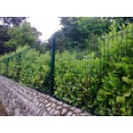 6A61 Mesh Perimeters